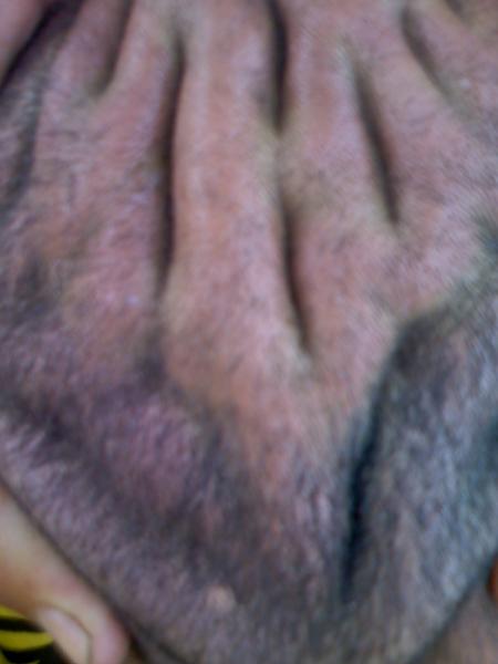 zer agayo lah in3lboha igya